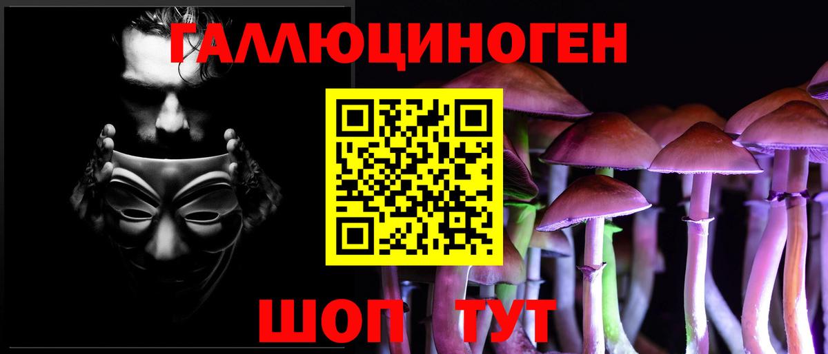 Псилоцибиновые грибы мицелий  Псилоцибиновые грибы Psilocybine cubensis  Буйнакск  даркнет сайт  Вход с VPN 
